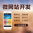 微站/APP开发